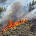 Εκδηλώθηκαν 44 πυρκαγιές το τελευταίο 24ωρο σε όλη τη χώρα​