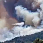 Φωτιά στην Πάρνηθα: Μάχη με τις φλόγες δίνουν οι πυροσβέστες – Η πυρκαγιά ξέσπασε μέσα στο δάσος στη θέση Κατσιμίδι​