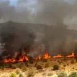 Φωτιά στην Ανάβυσσο: «Προκλήθηκε από εργασίες» απαντά ο αντιδήμαρχος Σαρωνικού​