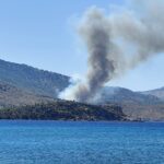 Ενισχύθηκαν οι πυροσβεστικές δυνάμεις στην πυρκαγιά σε δασική έκταση στη Χίο​